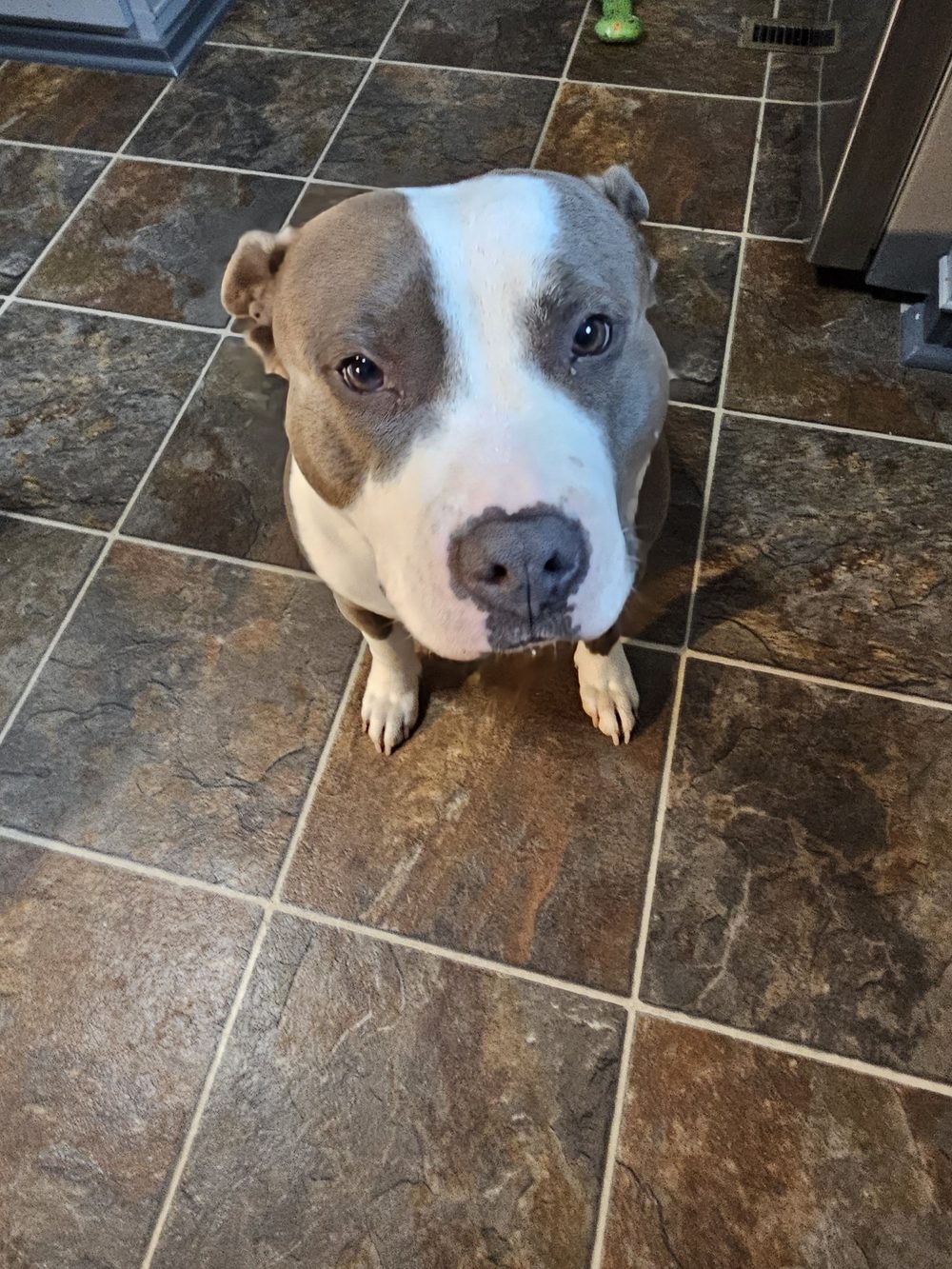 Lucy, mascot of Hands For Honduras, Inc. and Caribbean Cleanup